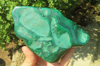 Polished Flower Banded Malachite Free Form x 1 From Congo