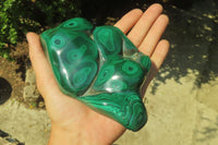 Polished Flower Banded Malachite Free Form x 1 From Congo