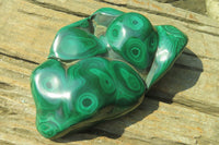 Polished Flower Banded Malachite Free Form x 1 From Congo