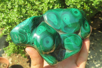 Polished Flower Banded Malachite Free Form x 1 From Congo