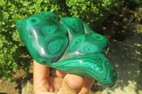 Polished Flower Banded Malachite Free Form x 1 From Congo