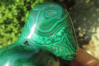 Polished Flower Banded Malachite Free Form x 1 From Congo