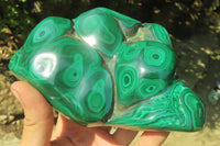 Polished Flower Banded Malachite Free Form x 1 From Congo