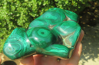 Polished Flower Banded Malachite Free Form x 1 From Congo