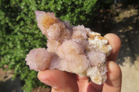 Natural Ametrine Spirit Quartz Clusters x 12 From Boekenhouthoek, South Africa