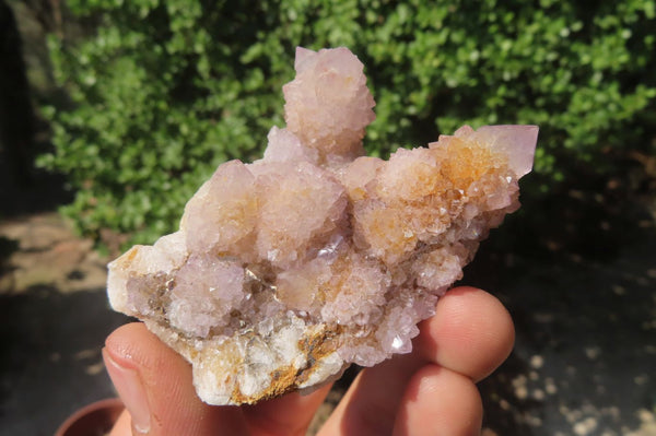 Natural Ametrine Spirit Quartz Clusters x 12 From Boekenhouthoek, South Africa