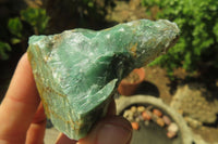 Natural Jade Cobbed Specimens x 24 From Swaziland