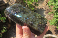 Polished Labradorite Standing Free Forms x 2 From Tulear, Madagascar