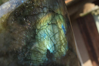 Polished Labradorite Standing Free Forms x 2 From Tulear, Madagascar