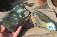 Polished Labradorite Standing Free Forms x 2 From Tulear, Madagascar