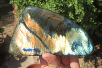 Polished Labradorite Standing Free Forms x 2 From Tulear, Madagascar