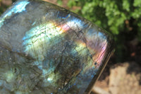 Polished Labradorite Standing Free Forms x 2 From Tulear, Madagascar