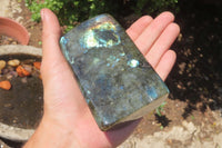 Polished Labradorite Standing Free Forms x 2 From Tulear, Madagascar