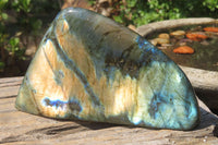 Polished Labradorite Standing Free Forms x 2 From Tulear, Madagascar