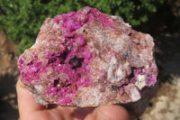 Natural Salrose Cobaltion Dolomite Specimens x 3 From Kakanda, Congo