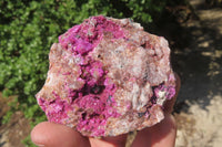 Natural Salrose Cobaltion Dolomite Specimens x 3 From Kakanda, Congo