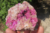 Natural Salrose Cobaltion Dolomite Specimens x 3 From Kakanda, Congo