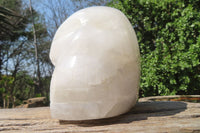 Polished White Quartz Skull Carving x 1 From Madagascar