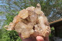 Natural Cascading Smokey Citrine Quartz Cluster x 1 From Luena, Congo