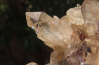 Natural Cascading Smokey Citrine Quartz Cluster x 1 From Luena, Congo