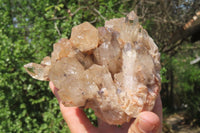 Natural Cascading Smokey Citrine Quartz Cluster x 1 From Luena, Congo