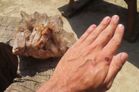 Natural Cascading Smokey Citrine Quartz Cluster x 1 From Luena, Congo