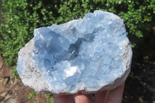 Natural Celestite Geode Specimens x 2 From Sakoany, Madagascar