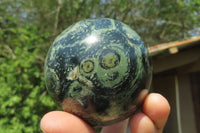 Polished Stromatolite Jasper Spheres x 4 From Katsepy, Madagascar