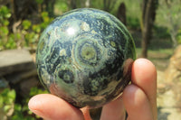 Polished Stromatolite Jasper Spheres x 4 From Katsepy, Madagascar