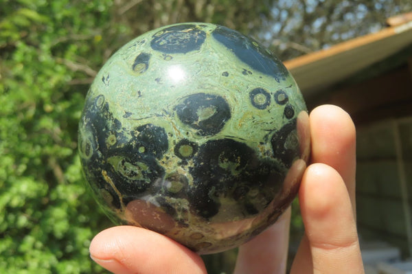 Polished Stromatolite Jasper Spheres x 4 From Katsepy, Madagascar