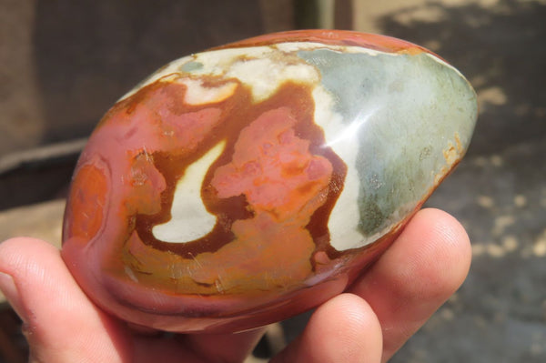 Polished On One Side Polychrome Jasper Nodules x 6 From Mahajanga, Madagascar