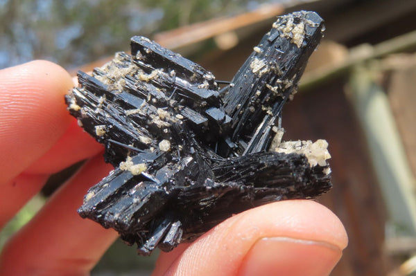 Natural Schorl Black Tourmaline Specimens x 12 From Erongo, Namibia