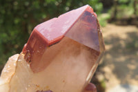 Natural Red Hematoid Quartz Specimens x 2 From Karoi, Zimbabwe