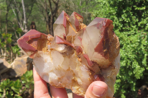 Natural Red Hematoid Quartz Specimens x 2 From Karoi, Zimbabwe