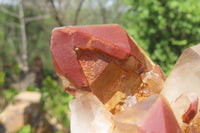 Natural Red Hematoid Quartz Specimens x 2 From Karoi, Zimbabwe