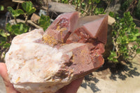 Natural Red Hematoid Quartz Specimens x 2 From Karoi, Zimbabwe