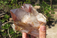 Natural Red Hematoid Quartz Specimens x 2 From Karoi, Zimbabwe