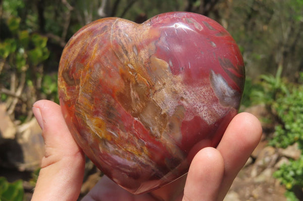 Polished Red Podocarpus Petrified Wood Hearts x 4 From Madagascar