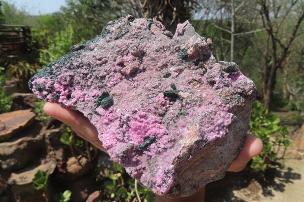 Natural Salrose Cobaltion Dolomite Specimen x 1 From Kakanda, Congo