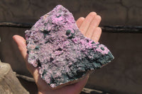 Natural Salrose Cobaltion Dolomite Specimen x 1 From Kakanda, Congo