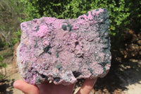 Natural Salrose Cobaltion Dolomite Specimen x 1 From Kakanda, Congo