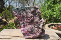 Natural Salrose Cobaltion Dolomite Specimen x 1 From Kakanda, Congo