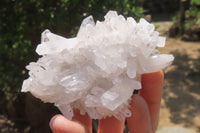 Natural Mixed Quartz Clusters x 12 From Madagascar