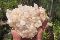 Natural Mixed Quartz Clusters x 12 From Madagascar