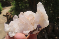 Natural Mixed Quartz Clusters x 12 From Madagascar