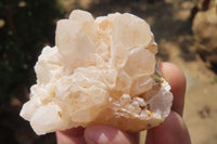 Natural Mixed Quartz Clusters x 12 From Madagascar