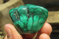 Polished Flower Banded Malachite Free Forms x 20 From Congo