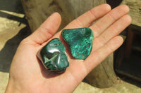 Polished Flower Banded Malachite Free Forms x 20 From Congo