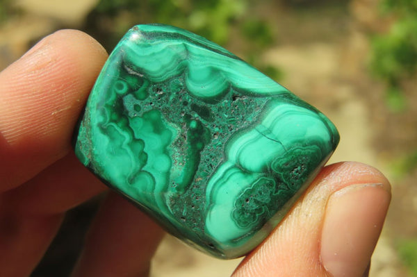 Polished Flower Banded Malachite Free Forms x 20 From Congo