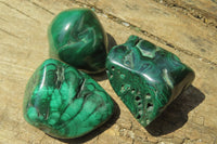 Polished Flower Banded Malachite Free Forms x 20 From Congo